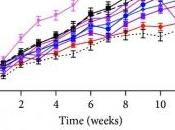 OBÉSITÉ: airelles pour combattre graisses Journal Nutrition Metabolism