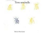 [note lecture] Fabienne Raphoz, "Terre sentinelle", Florence Trocmé
