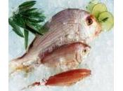 poissons surgelés commerce sont peut-être naturels ça...