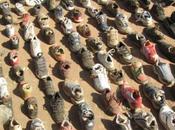 Ceux reviennent loin