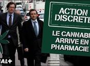 cannabis arrive pharmacie (Action Discrète)