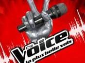 Voice 2014, épisode Dernières auditions l’aveugle soir