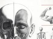 Grand cours d’anatomie artistique L’homme Andràs Szunyoghy