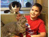 enfants, lecture chats