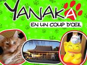 Yanaka coup d’œil chez Komikku