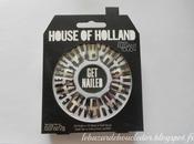 Nailed House Holland