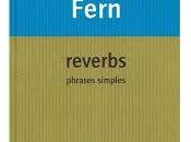 [note lecture] Bruno Fern, "reverbs, phrases simples", Henri Droguet