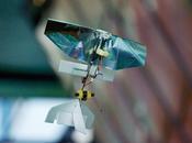 drone insecte autonome