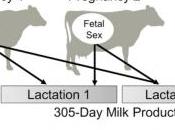 ALLAITEMENT: Plus moins lait selon sexe l'Enfant? PLoS