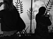 Curiosité virtuelle