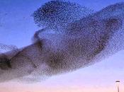 culture ciment émerge lentement