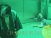 ascenseur japonais hanté (Vidéo)