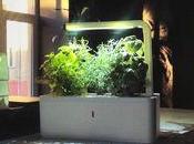 Cultivez plantes avec haute technologie