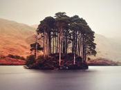 PHOTO “Braveheart’s Legacy”