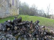 nuage pollution chez nous