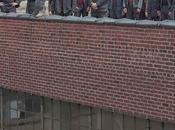Shailene Woodley jette haut d'un toit