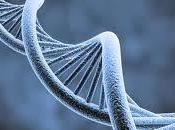 Pourquoi entreprise a-t-elle besoin d’un dirigeant