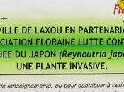 Biodiversité Quand veut...