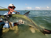 Tarpon cayo santa maria, cuba promo
