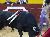 Castellon: oreille solitaire pour castella