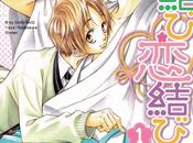 Yume Musubi chez Taifu Comics