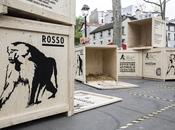 animaux sauvages Parc Zoologique sont retour Paris