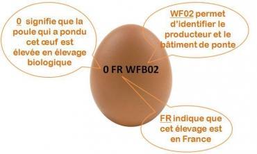 Comment reconnaître un oeuf bio ?