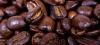Insolite marc café recyclé pour récolter champignons faire