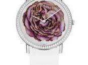 roses passion Piaget