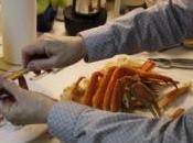 Gastronomie découverte crabe neiges