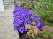 petit rappel printemps