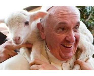 Le Pape " ne sacrifions pas d'agneaux à Pâques"
