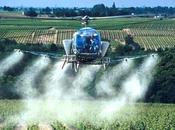 Bourgogne, hélicoptères pesticides sont retour