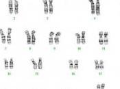 TRISOMIE Petit chromosome, grands effets génome Nature