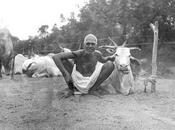 Combien d'étapes pour être enfin