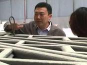 Impression maisons jour