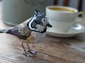 oiseaux rares d'Abigail Brown