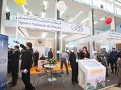 Création micro-entreprises Libérer l’initiative jeunes