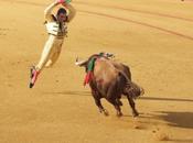 Seville: corrida hauteur esperances.....