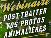 [Evènement] Webinaire gratuit post-traitement photo nature