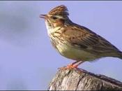 "C’était comme n’avais jamais réalisé auparavant