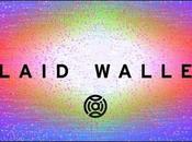Plaid Wallet