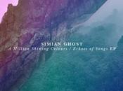 Simian Ghost, Million Shining Colours Echoes Songs