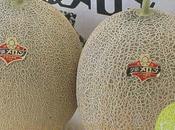 Deux melons vendus euros!