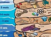 Durée biodégrabilité déchets