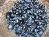 Lonicera caerulea, complément d'enquête