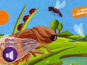 nous a-t-elle ramené bibliothèque l'école