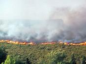 Comment combattre incendies forêt l'été