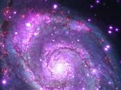 galaxie Tourbillon dévisagée dans rayonnement Chandra