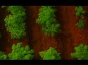 Pérou drones pour l’agriculture